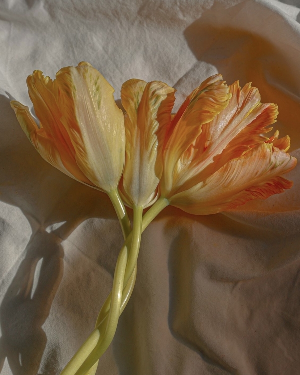 Фразы, которые стоит говорить вместо «Не переживай»