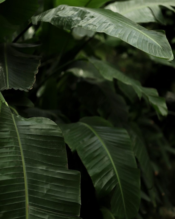 Интересные локации для свадебной съемки в Москве