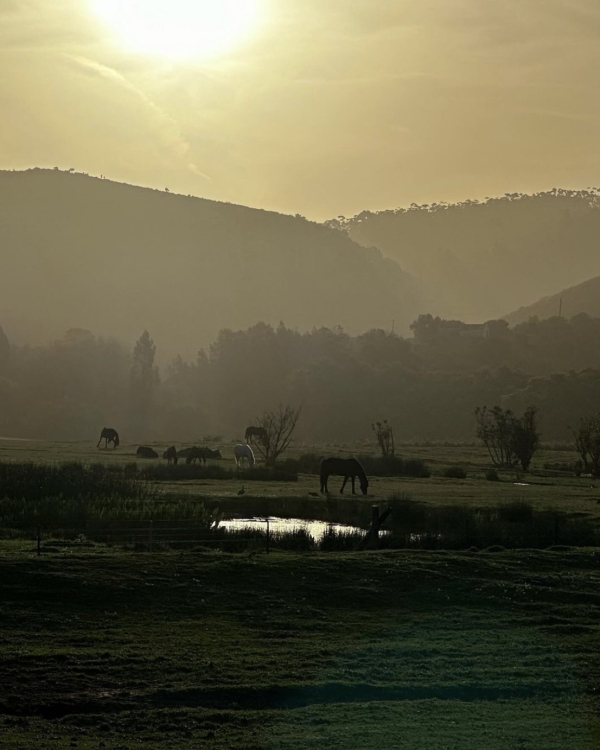 Как правильно спланировать медовый месяц?