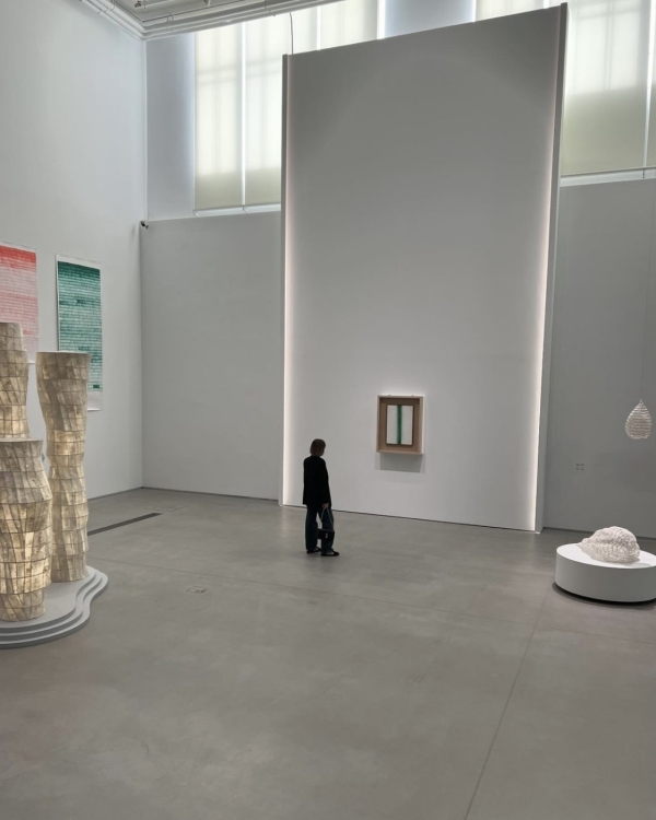 Воскресный маркет на Патриарших прудах, осьми-дог в