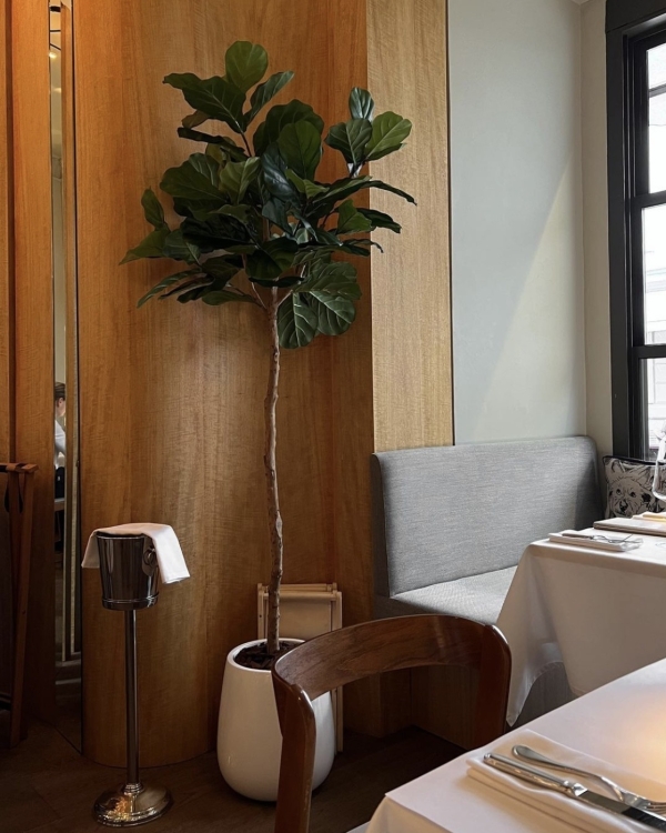 Не «Горько!», а сладко: рестораны с красивыми