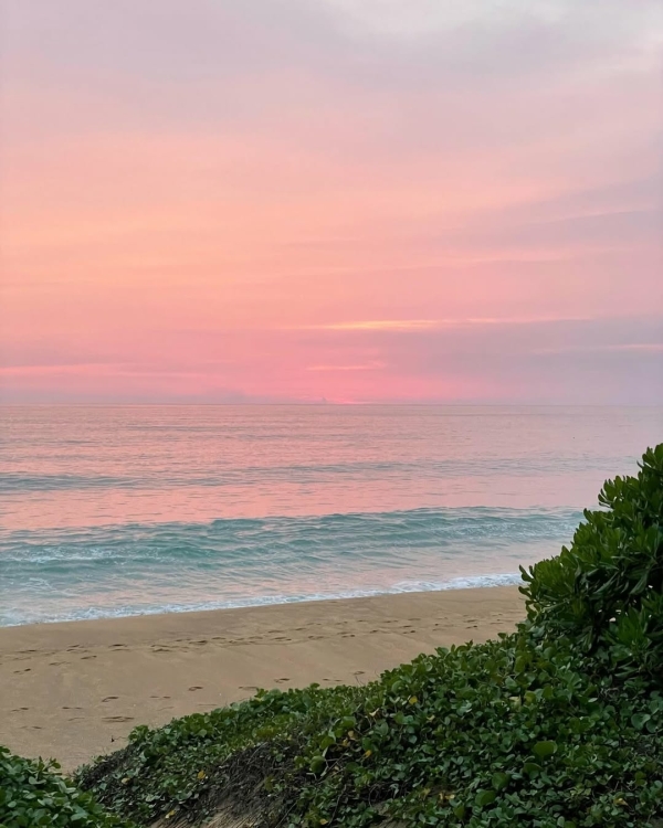 Вот 7 лучших направлений для идеального медового