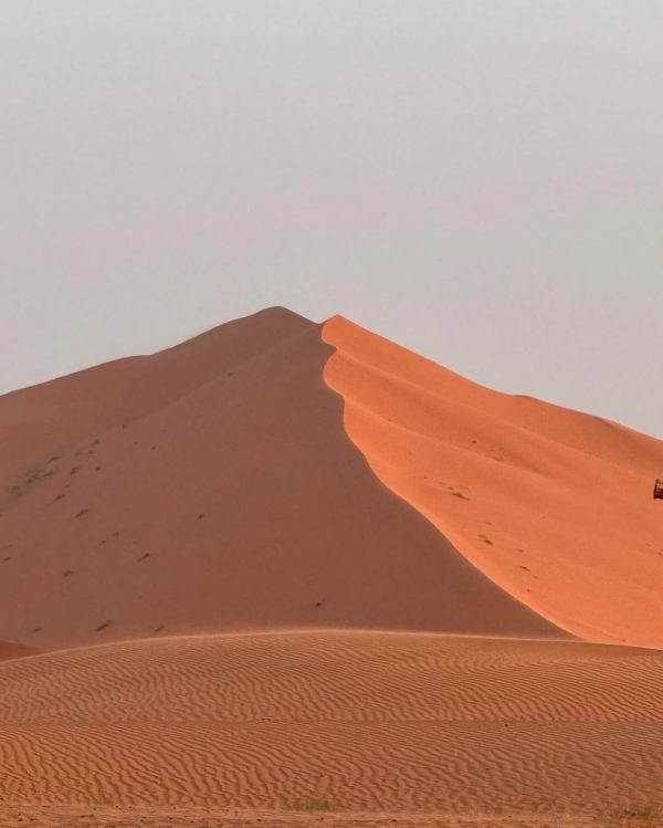 Вот 7 лучших направлений для идеального медового