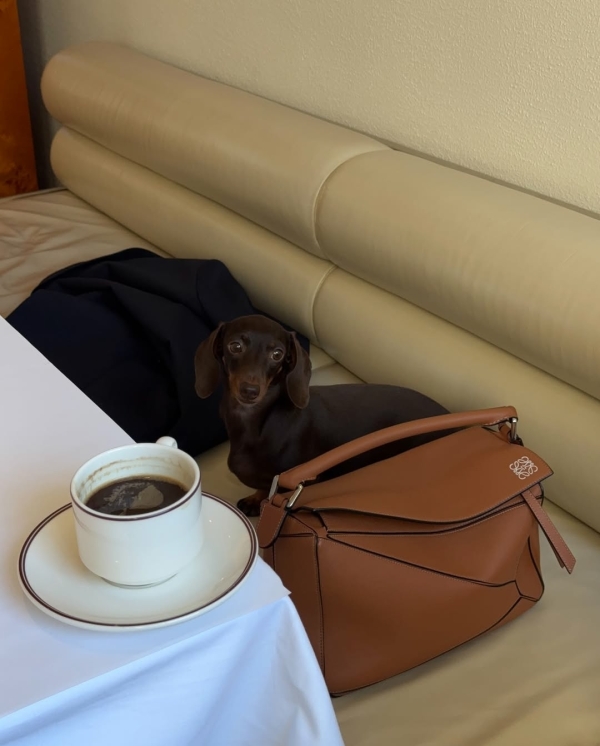 «Тотальная медитация» в «Зотове», винтажные сокровища в