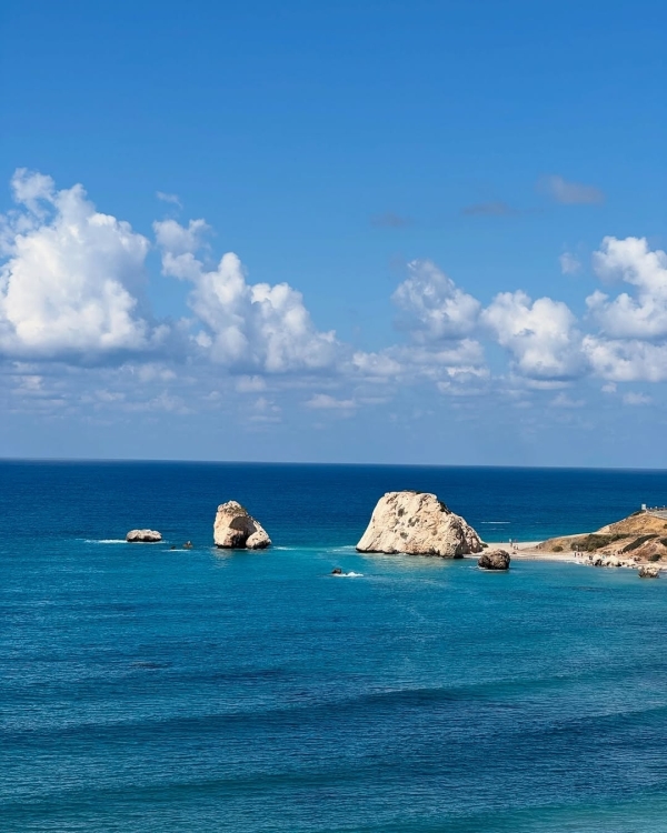 Вот 7 лучших направлений для идеального медового