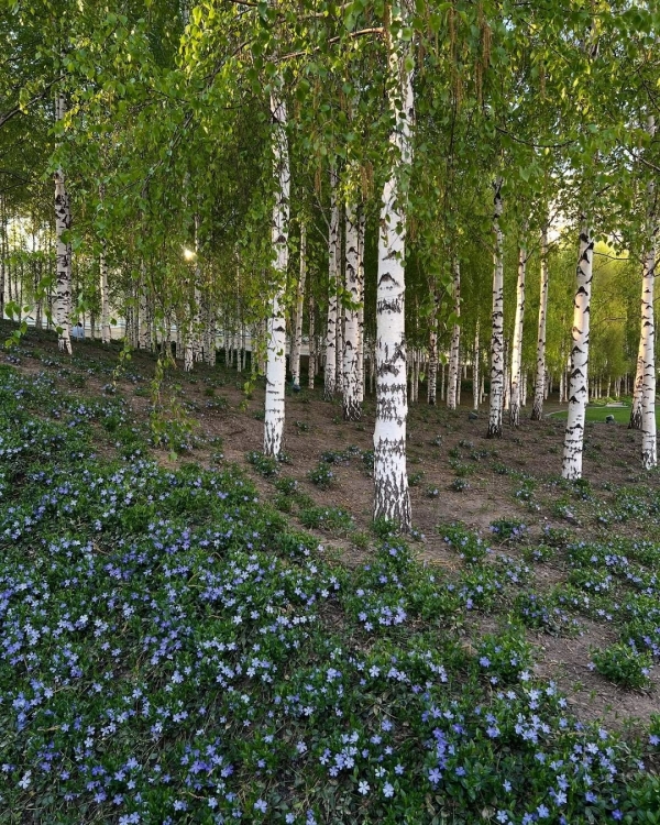 Места для первого свидания в Москве, где