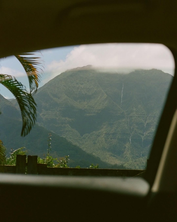 Вот 7 лучших направлений для идеального медового