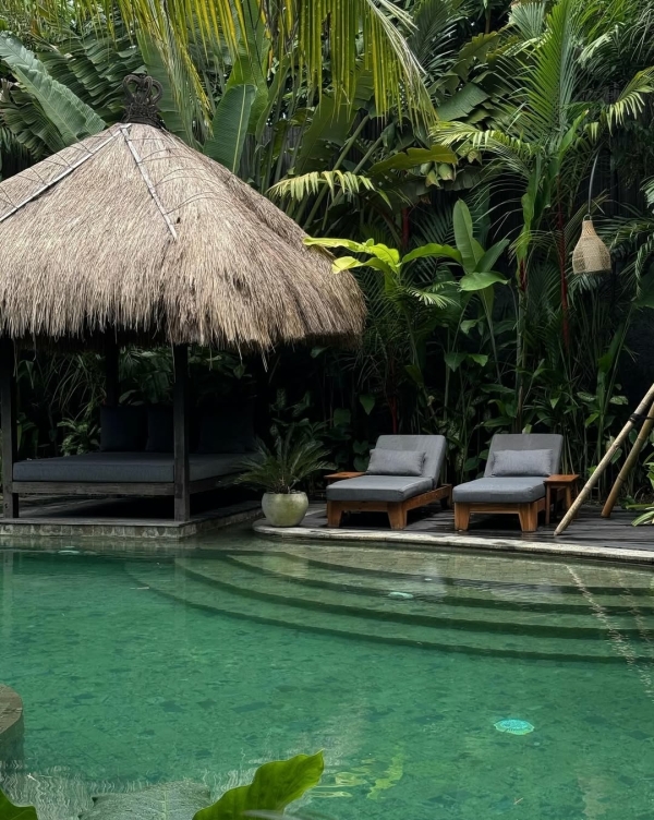 Вот 7 лучших направлений для идеального медового