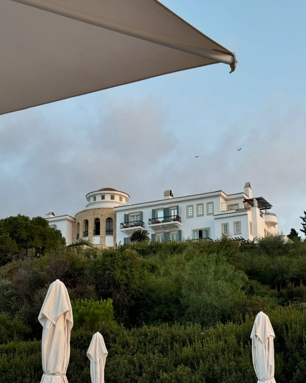 Вот 7 лучших направлений для идеального медового