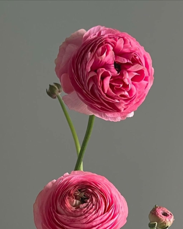 Нашли 30 отличных подарков, которые можно подарить