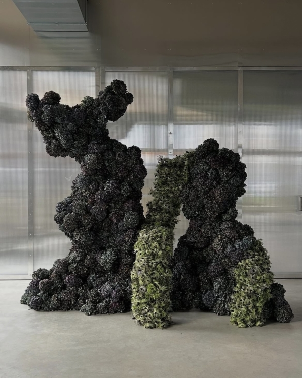 Экспериментов не боимся! 20 современных референсов для