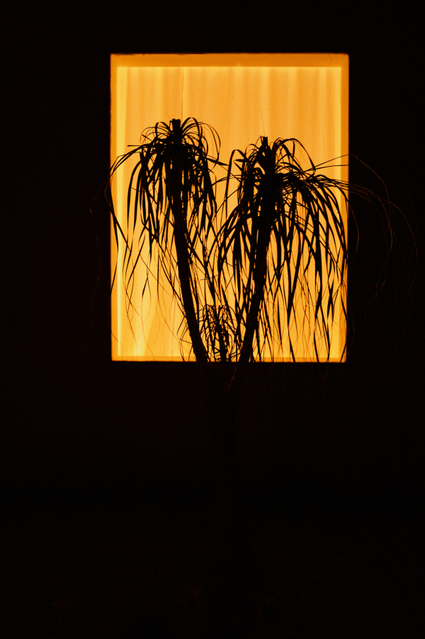 Интервью с невестой: о свадьбе на Бали