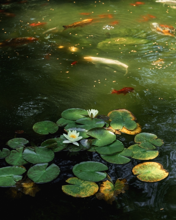 Интервью с невестой: о свадьбе длиной в