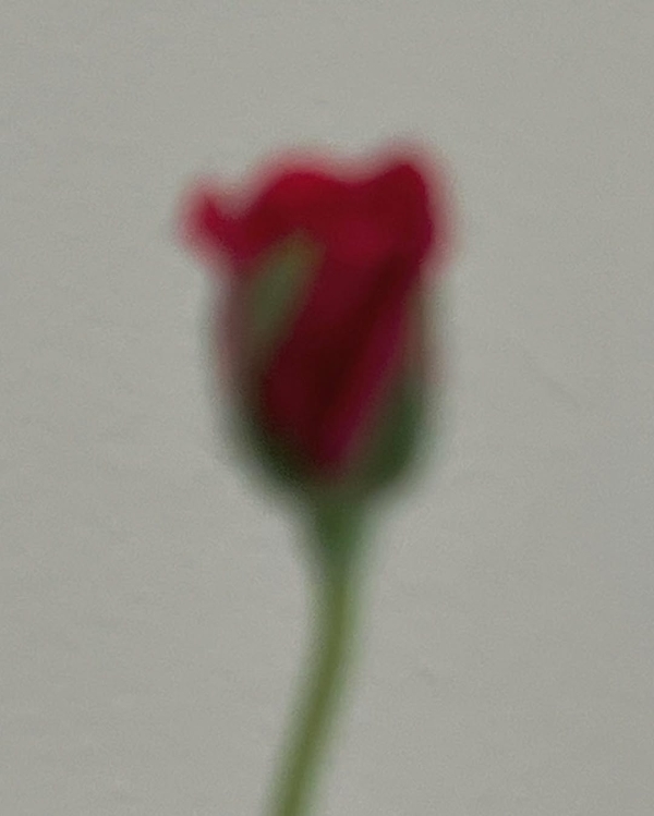 Места для первого свидания в Москве, где