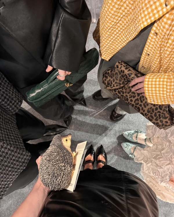 Между нами, девочками. Где отметить девичник в