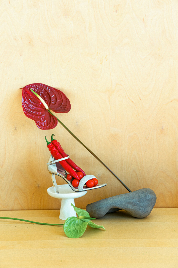 Фотографы Анастасия Максимова