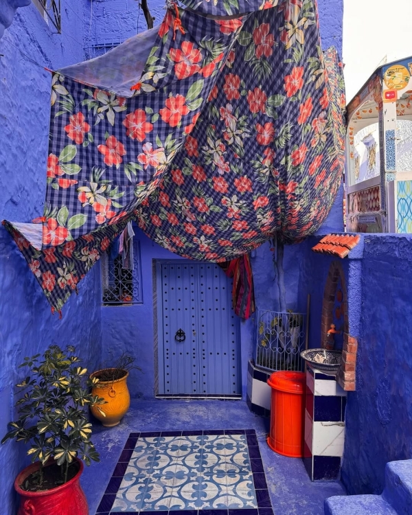 Вот 7 лучших направлений для идеального медового