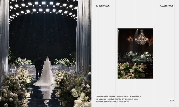 Агентства CELEBRATE IT