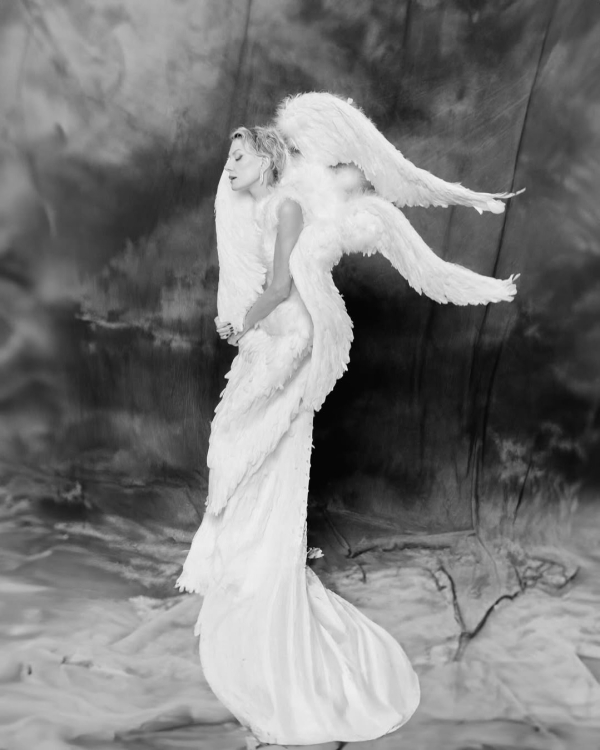 Почему оммаж на лебедей — один из