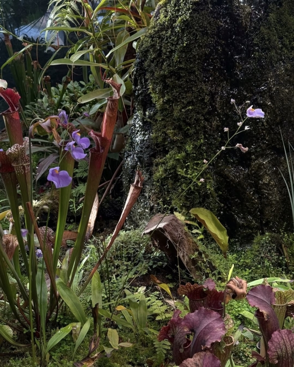 Все на улицу! Рассказываем, где гулять в