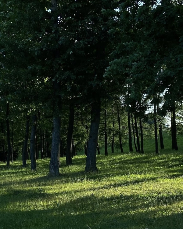 Все на улицу! Рассказываем, где гулять в