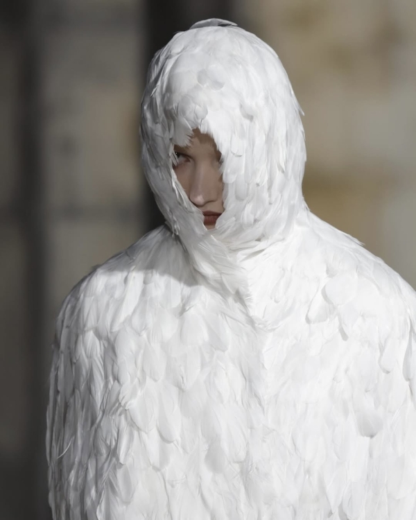 Почему оммаж на лебедей — один из