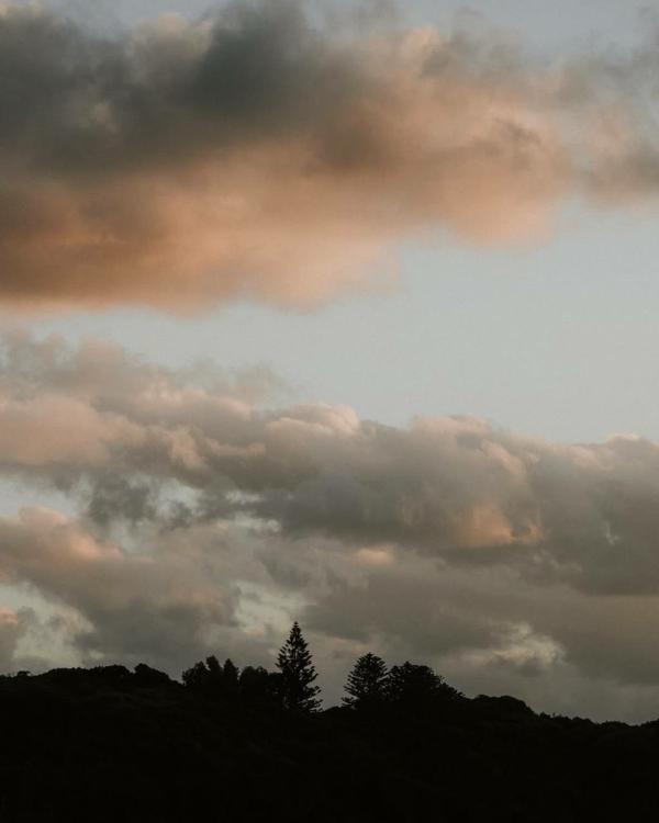 Cезон Тельца: что это значит для каждого