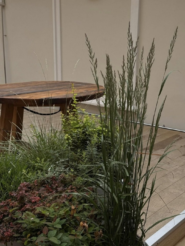 Все на улицу! Рассказываем, где гулять в