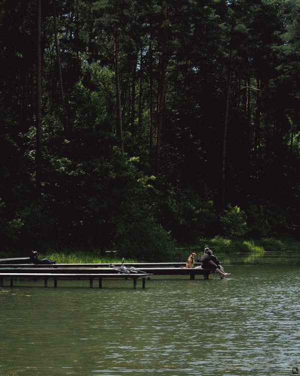 Где смотреть за цветением сакуры в Москве?