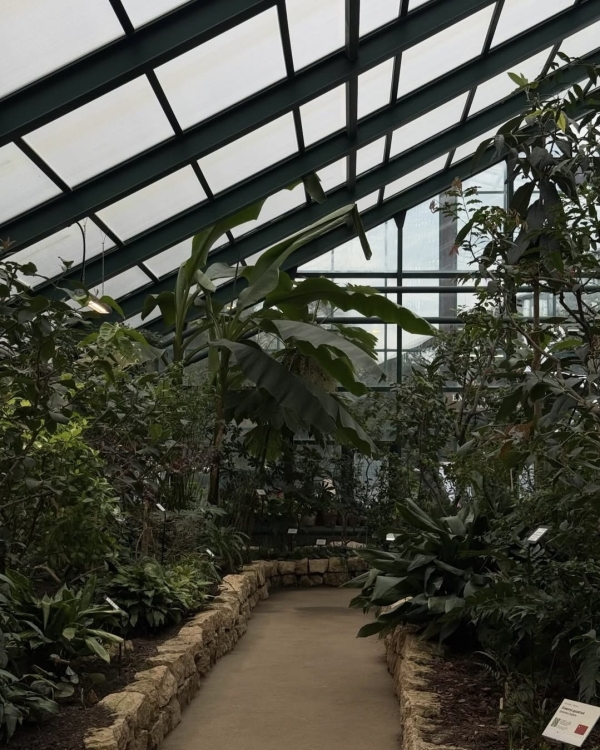 Все на улицу! Рассказываем, где гулять в