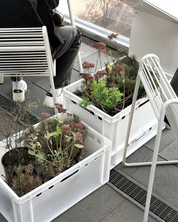 Все на улицу! Рассказываем, где гулять в