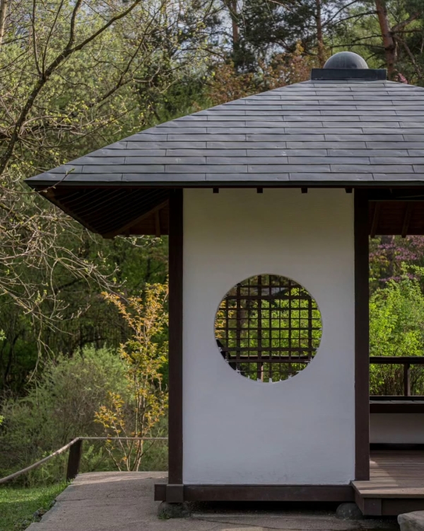 Где смотреть за цветением сакуры в Москве?