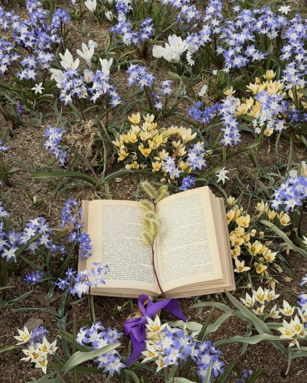 Все на улицу! Рассказываем, где гулять в