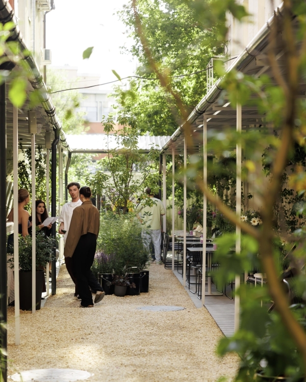 Открытие двора «Дома культур» и другие события