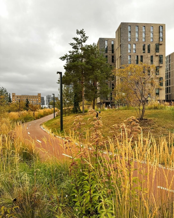 7 новых набережных Москвы, где стоит погулять