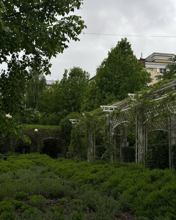 Все на улицу! Рассказываем, где гулять в