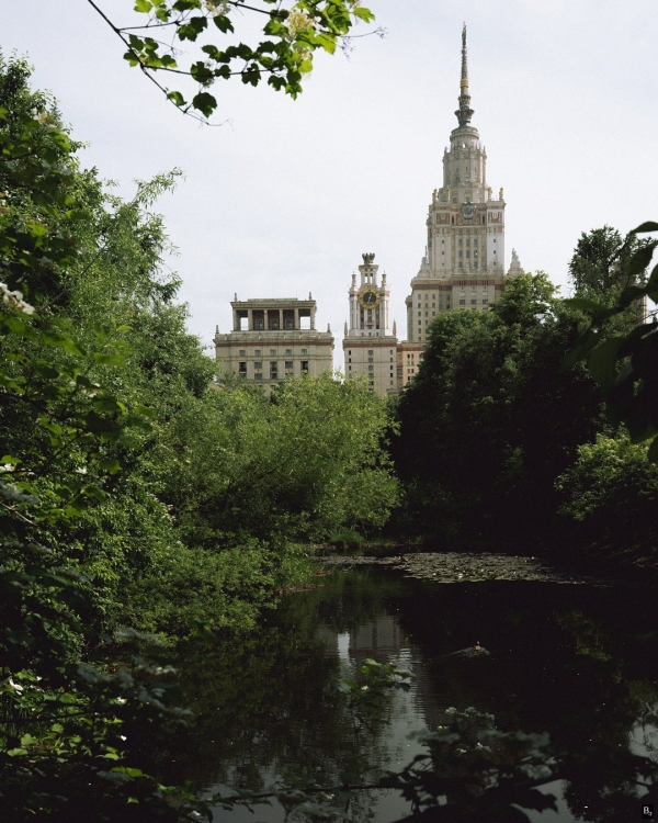 Где смотреть за цветением сакуры в Москве?