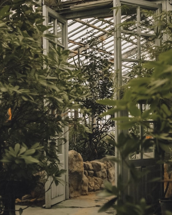 Все на улицу! Рассказываем, где гулять в