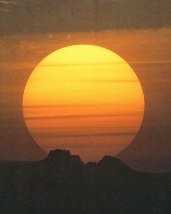 Cезон Тельца: что это значит для каждого