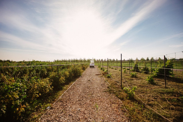 «Вилла Плёс»: интервью с представителями велнес-курорта