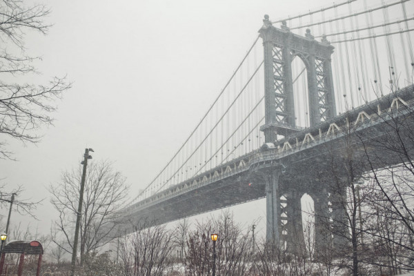 Зимняя свадьба в Нью-Йорке