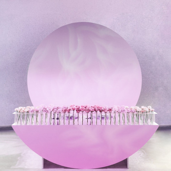 Свадьба футболиста Александра Сапеты и Яны