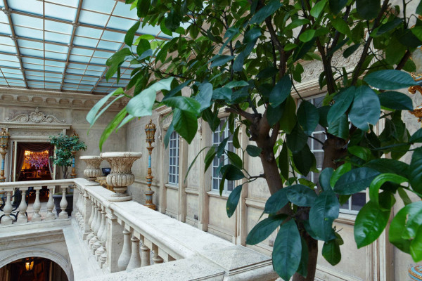 «Турандот»: интервью в особняке в центре Москвы