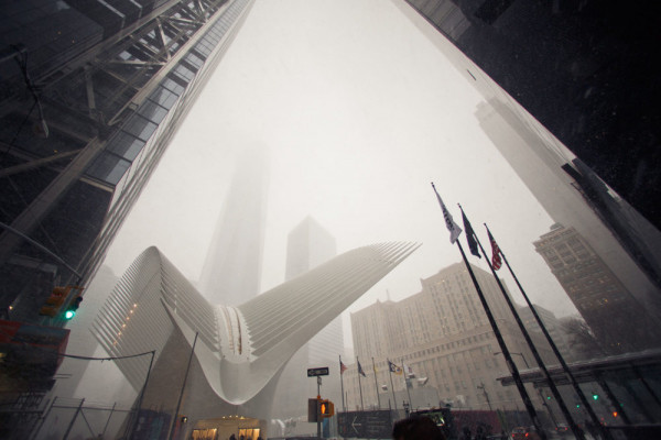 Зимняя свадьба в Нью-Йорке