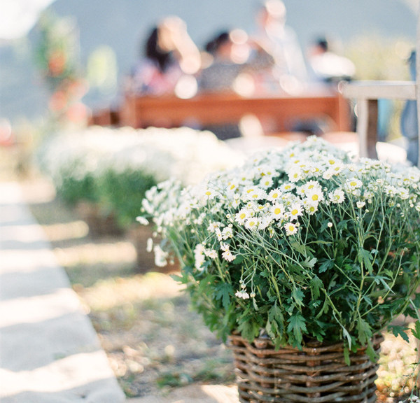 Cвадьба в Долине Небес