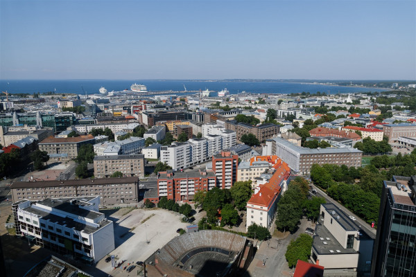 Свадьба Алины Топаловой и Томаса Несона на
