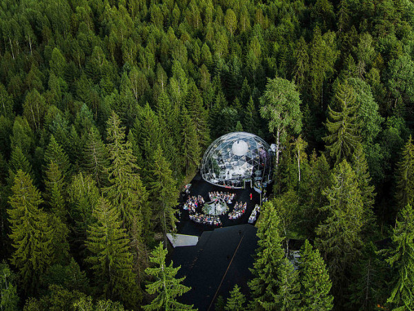 3 свадьбы в лесу среди елей и