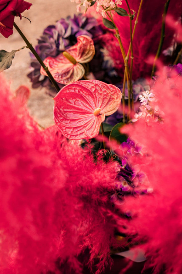 Cвадьба Треи и Кея в старинном французском