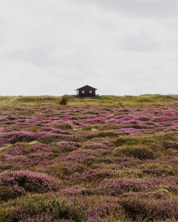 Небанальные места для свадебного путешествия