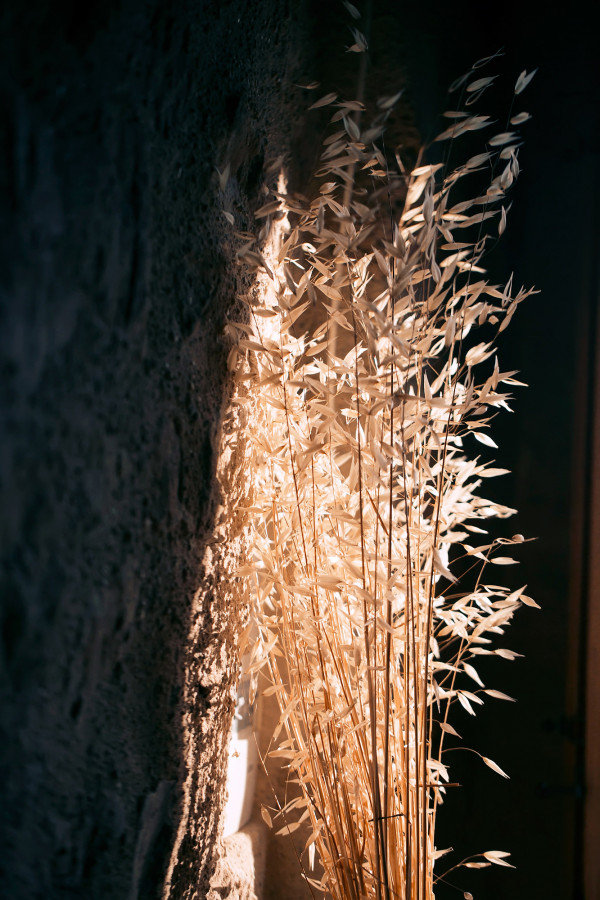 Cвадьба Треи и Кея в старинном французском